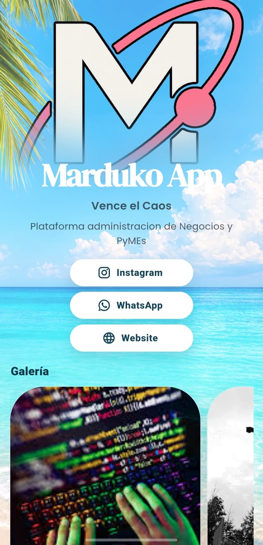 Perfil de LinkStar ejemplo 1